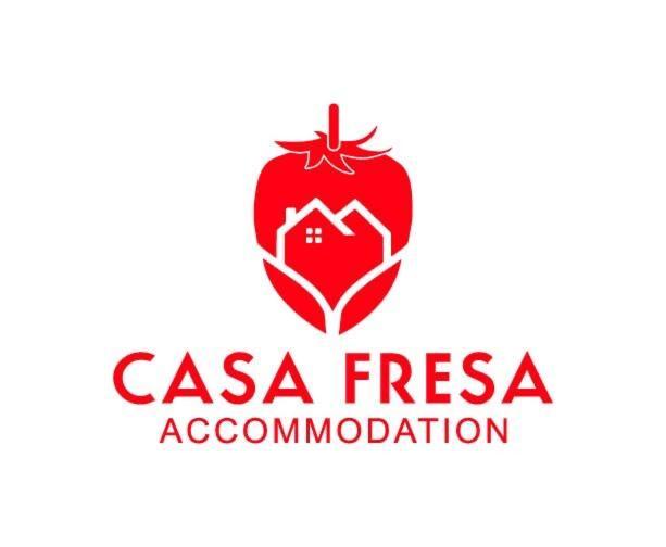 Casa Fresa - King Street Apartments Данди Экстерьер фото